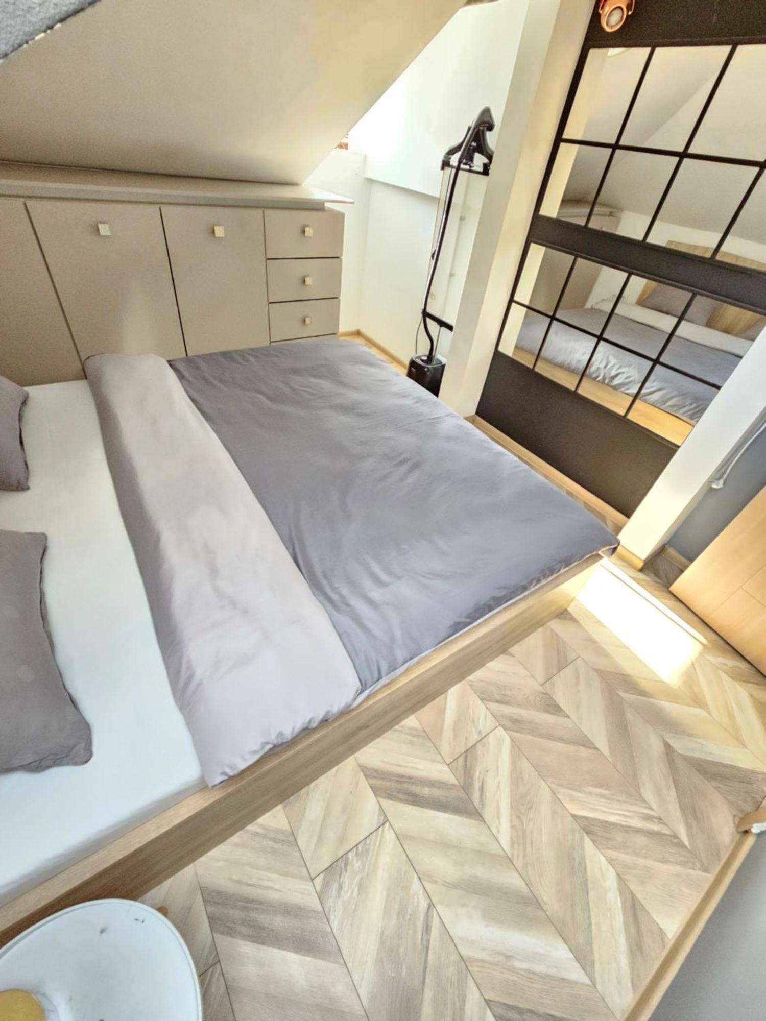 Rajiceva Apartment *